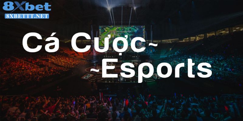 Tìm hiểu cá cược Esports online